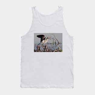 Shorebird Taking Flight Tank Top